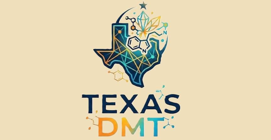 dmtsalestexas.com